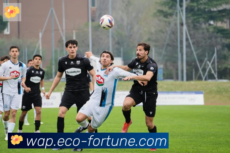 开云kaiyun官网荣誉