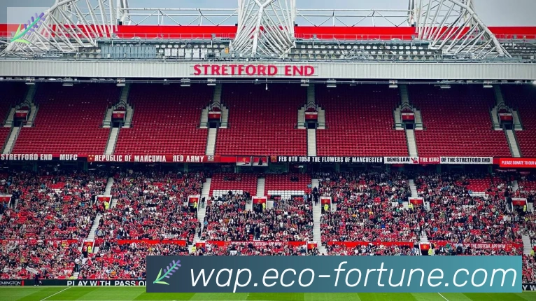 开云kaiyun官网荣誉