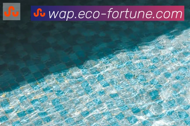 开云kaiyun官网荣誉