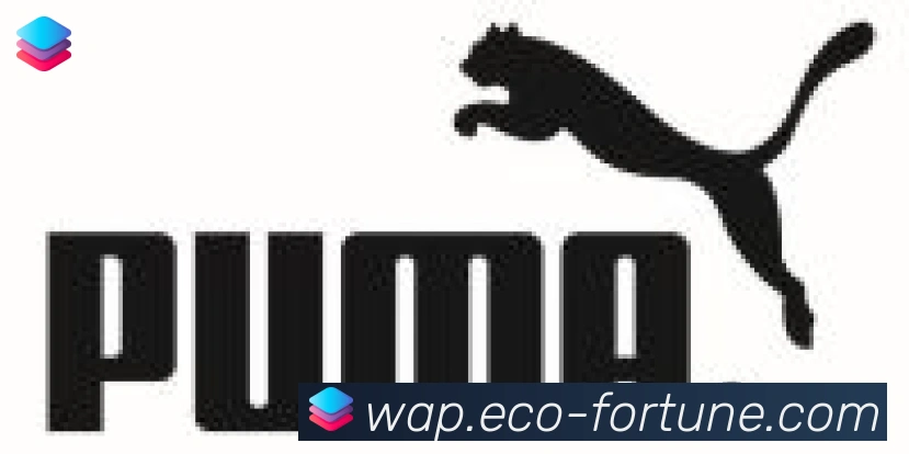 开云kaiyun官网合作伙伴